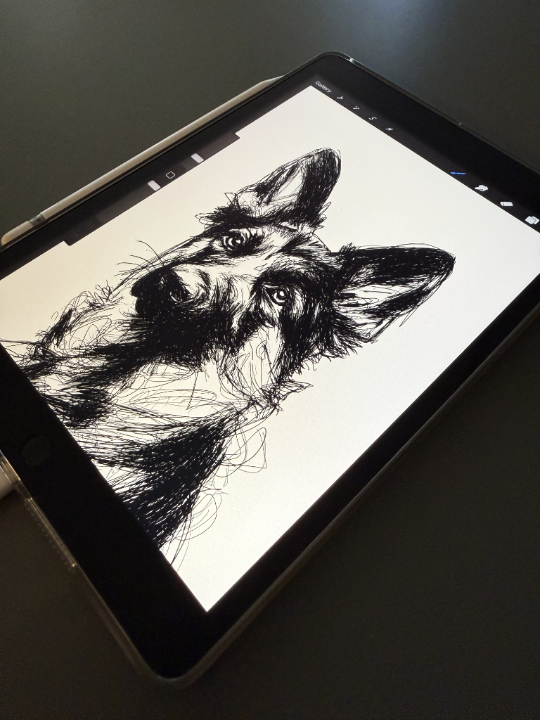 [interface] image of a tablet with an educational app (for edtech)